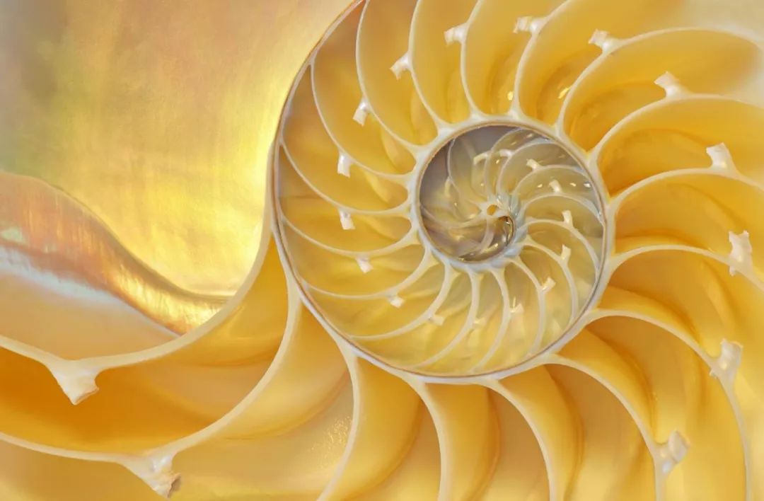 改性尼龍新聞速遞:中空結(jié)構(gòu)的復(fù)合材料部件