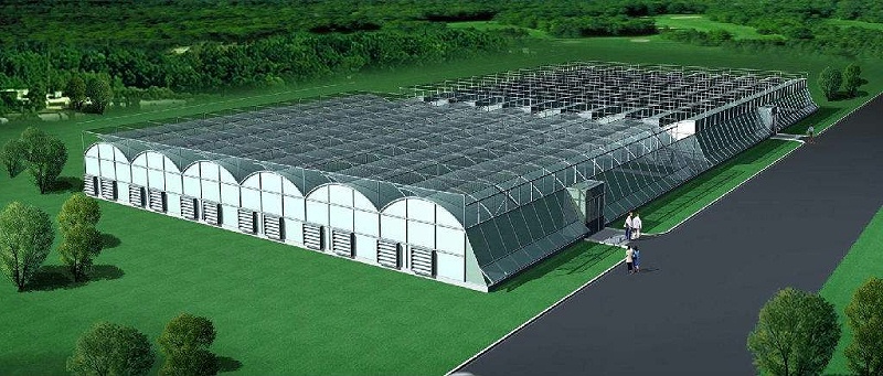 改性尼龍新聞速遞: 關于改性塑料在農業中的發展趨勢